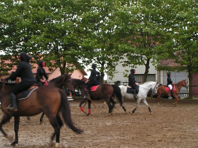 PO 2008 (46).jpg